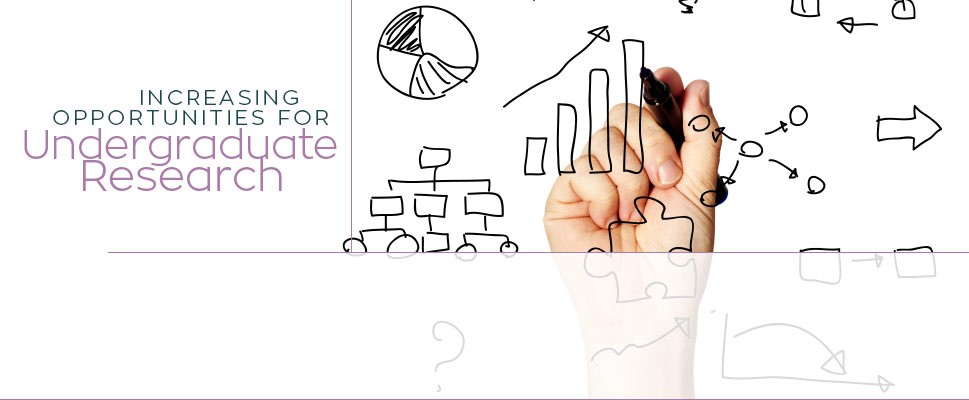 Increasing Opportunities for Undergraduate Research