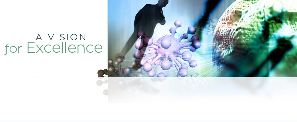 A Vision for Excellence