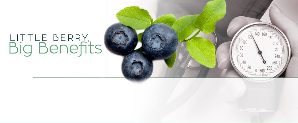 Little Berry, Big Benefits