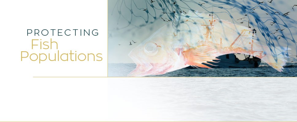 Protecting Fish Populations