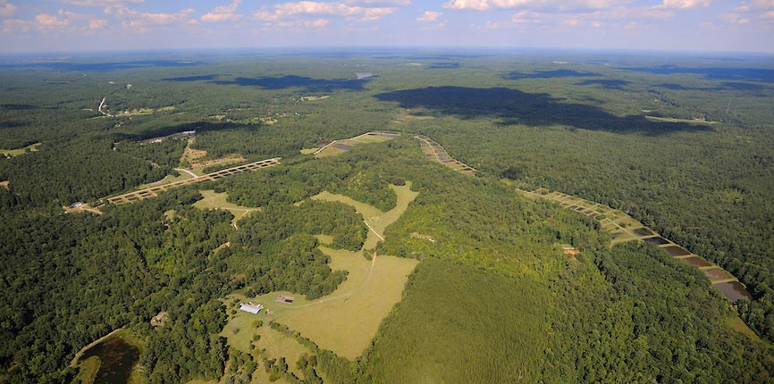 Aerial view of the UM Field Station